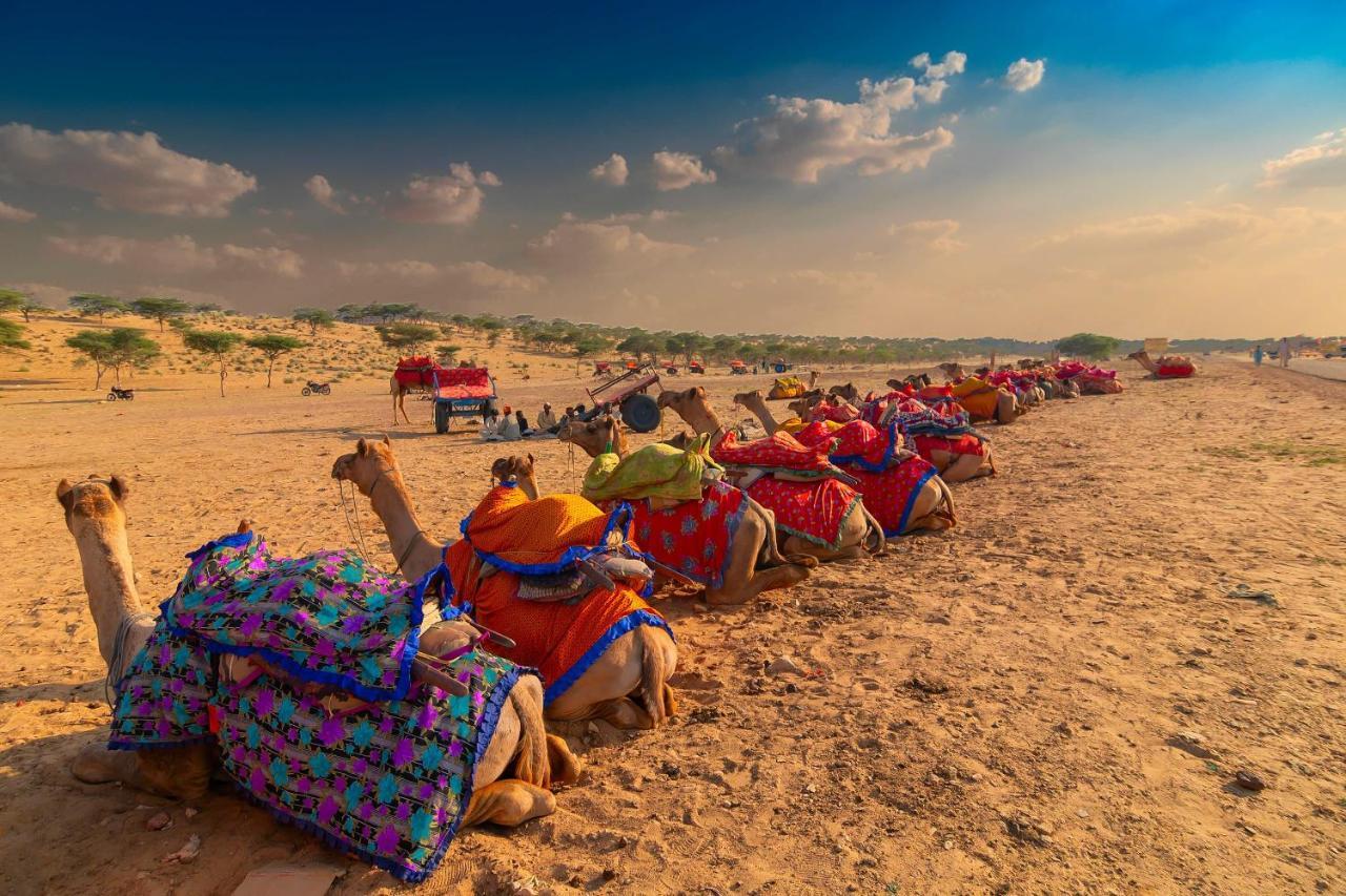 Hotel Galaxy Inn Pushkar Eksteriør billede